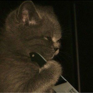 Meet your Posher, Adrian